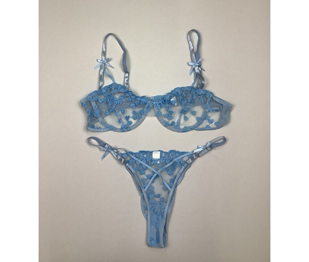 Lilosy Blue Embroidered Mesh Lingerie Set Women Size L Sheer Bra Thong NWOT